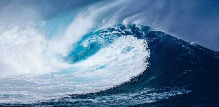 wave-1913559_960_720 wave-1913559_960_720