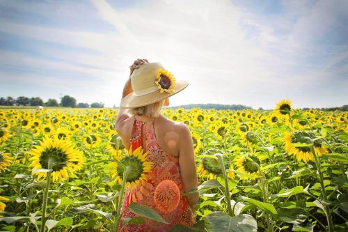 woman-3640935_960_720 woman-3640935_960_720
